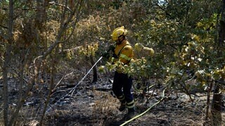Feuerwehrleute bekämpfen Glutnester im Gebiet am Rotenfels im Kreis Bad Kreuznach. In einem Areal des teils mit Munition belasteten Sperrgebiets rücken Feuerwehrleute dem Brand jetzt direkt zu Leibe.