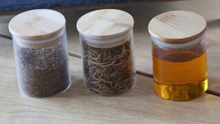 Mehlwürmer verarbeitet. Durch zusätzliche eine UV-Behandlung sollen Mehlwürmer künftig mit Vitamin D angereichert werden.