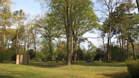 Streuwiese auf dem Mainzer Waldfriedhof. Auf der rund 100 Quadratmeter großen Wiese kann die Asche Verstorbener verstreut werden 