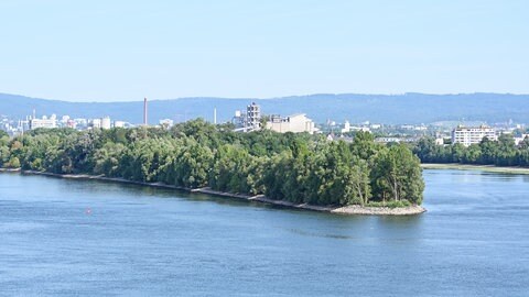 Blick auf die Petersaue bei Mainz.