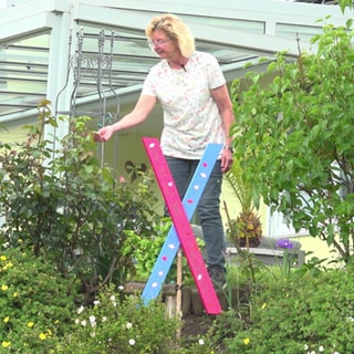 Edelgard Lechner blickt zufrieden in ihren blühenden Garten und betrachtet die Pflanzen.