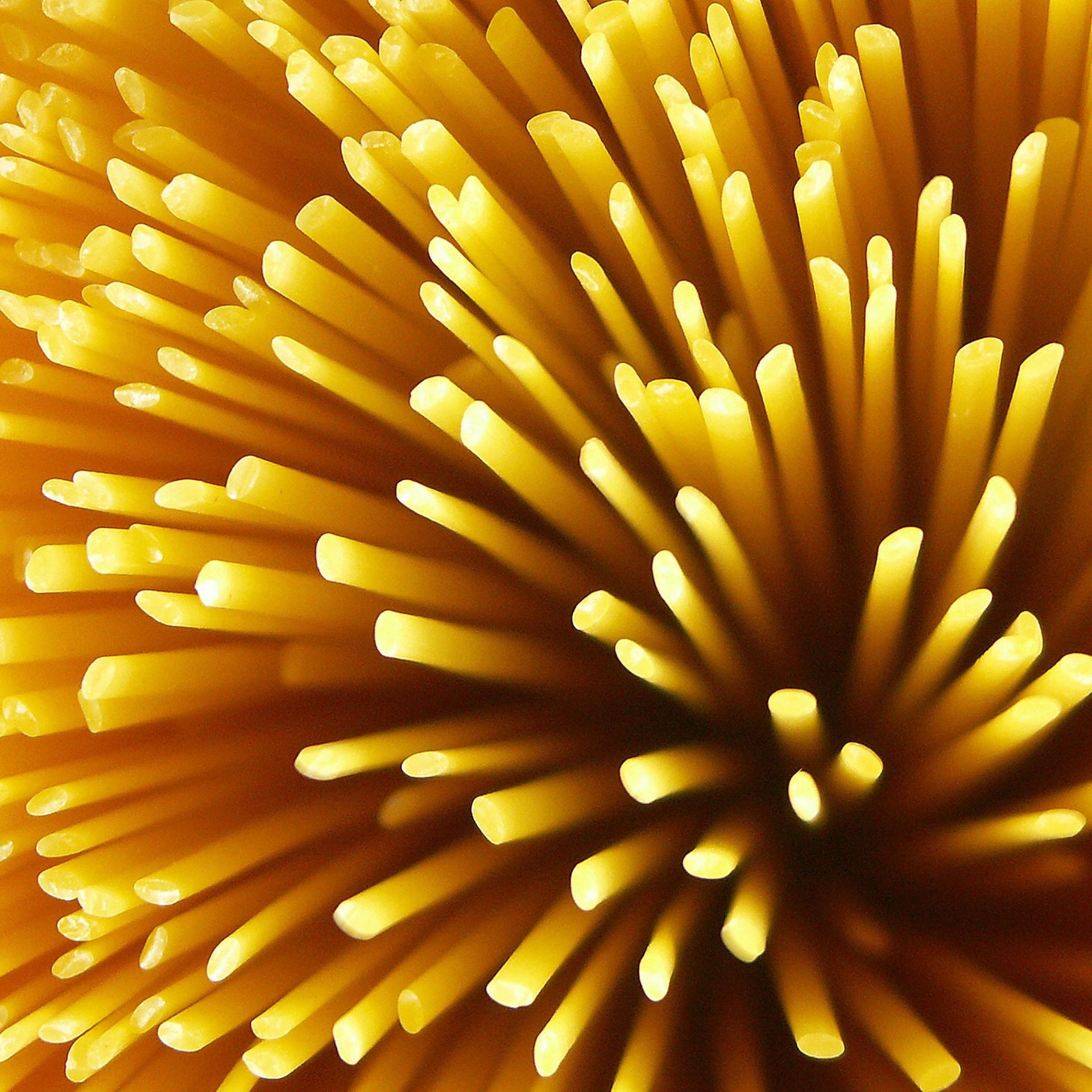Warum sind Spaghetti so lang? episode artwork