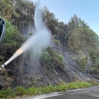 Die Einsatzkräfte löschen das Feuer beim Waldbrand zwischen Pirmasens und Rodalben.