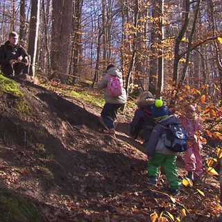 Kinder klettern im Wald einen kleinen Berg hoch. Ein Erzieher hilft ihnen mit einem Seil.