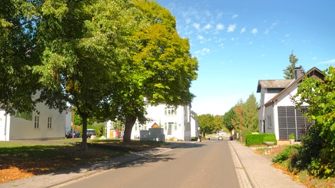 Die Hauptstraße in Külz