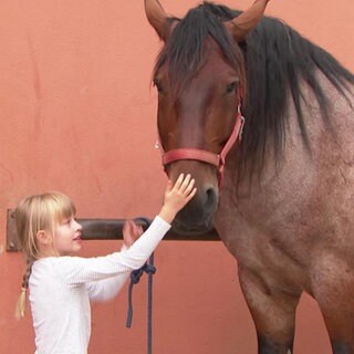 Ein Pferd mit einem Mädchen
