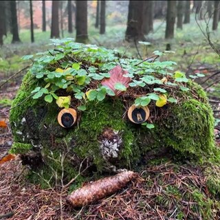 Ein dekorierter, moosbedeckter Stein