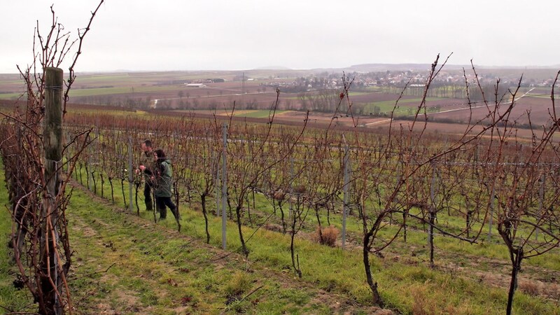 Winzerpaar Dagmar und Roland Mees