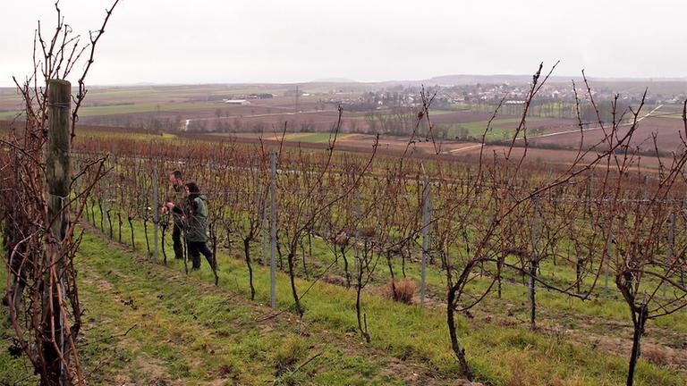 Winzerpaar Dagmar und Roland Mees