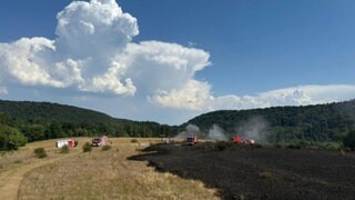 Verbrannte Felder und Wiesen, Rauch und Löschfahrzeuge der Feuerwehr. Eine Fäche von sieben Hektar war bei Birkenhördt niedergebrannt. 