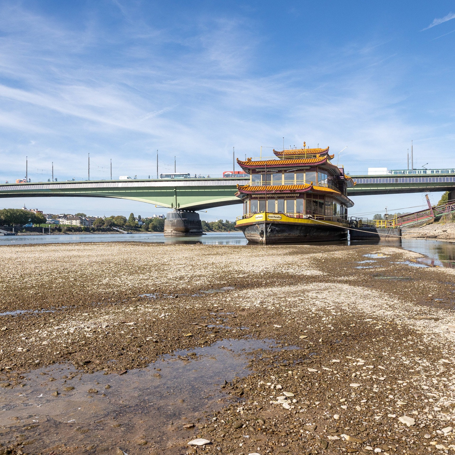 Rhein erreicht historischen Tiefstand