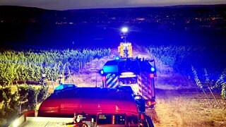 Mehrere Feuerwehrfahrzeuge rücken zu einem Brand in einem Weinberg in Bad Kreuznach aus.