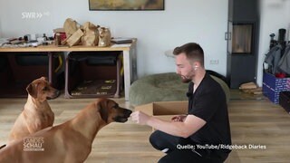 Hunde-Influencer Max Pothmann mit Hunden
