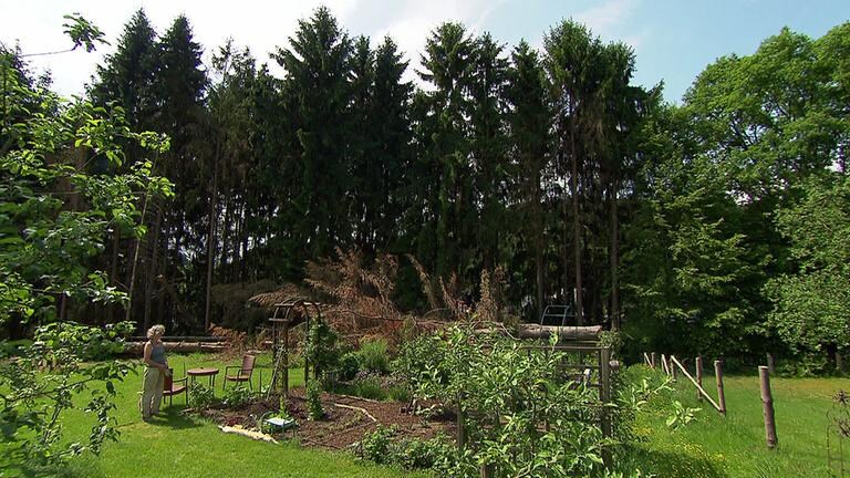 großer Garten