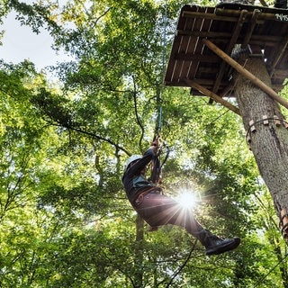 Eine Person seilt sich im Fun Forest Kandel von einem Baum ab | Fünf Kletterwälder in und um Rheinland-Pfalz