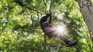 Eine Person seilt sich im Fun Forest Kandel von einem Baum ab | Fünf Kletterwälder in und um Rheinland-Pfalz