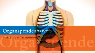 Gehirntote Menschen können keine Schmerzen empfinden – auch nicht bei der Organentnahme, wenn sie Organspender sind
