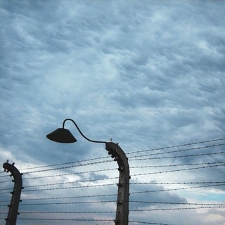 Auschwitz-Birkenau-Stromzaun