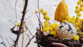 Wie die Nester gefüllt werden, ist variabel: Mit Eiern, Wachteleiern...