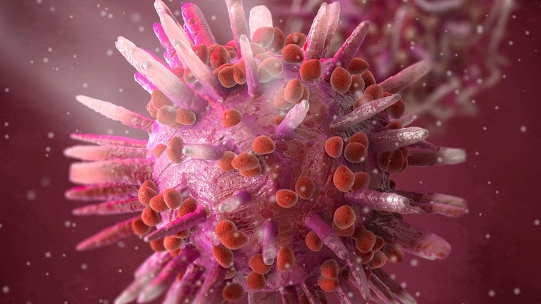 Herpes-simplex-Virus (HSV)