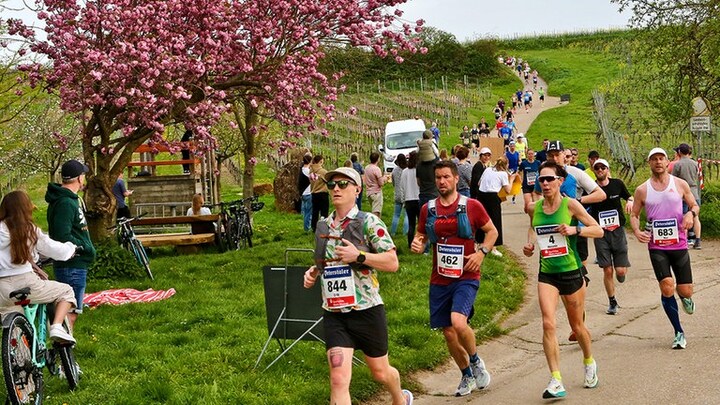Weinstraßenmarathon 2024 