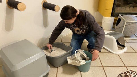 Im Tierheim lernen die Jugendlichen, wie viel Verantwortung es ist, sich um ein Tier zu kümmern.