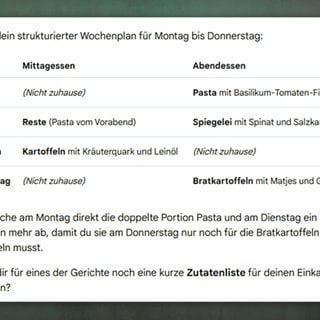 Erstellter Wochenplan