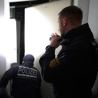 Training der Poilzeihundestaffel in Mannheim
