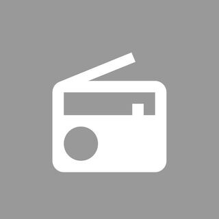 SWR Icon Radio grau