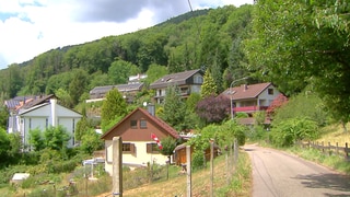 Die Slevogtstraße in Leinsweiler