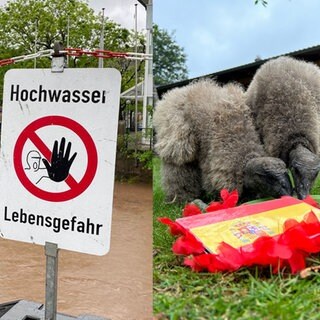 Wir blicken zurück auf das, was die Westpfalz und unsere Redaktion 2024 bewegt hat.