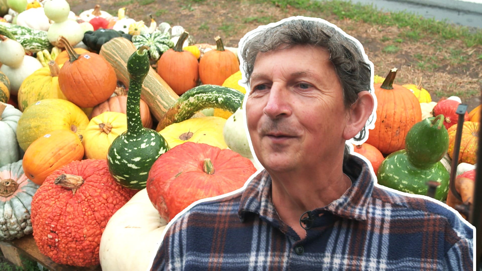 Alexander sammelt Kürbissorten