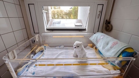 Blick auf die geöffnete Babyklappe in Karlsruhe.