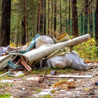 So problematisch ist im Wald entsorgter Müll