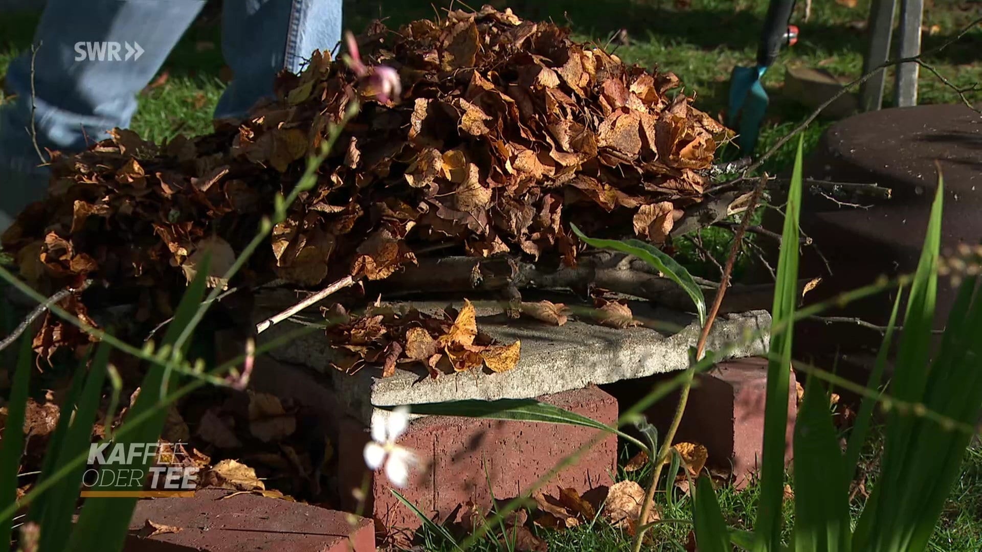 Jetzt den Winterschläfern im Garten helfen