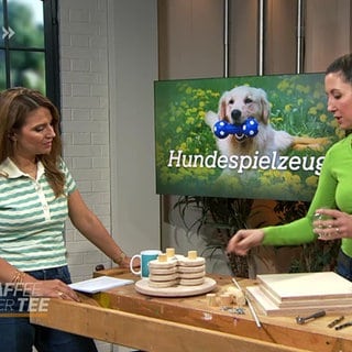 Hundespielzeug - selbst gebaut