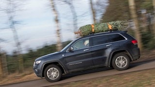 Symbolbild: Eine Familie transportiert einen Weihnachtsbaum auf dem Autodach. Ein solcher ging auf der A81 bei Möckmühl verloren.