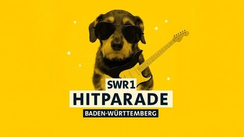 Ein Hund im Stil der Hitparaden-Katze.