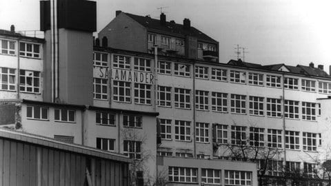 Die Salamander-Schuhfabrik in Pirmasens