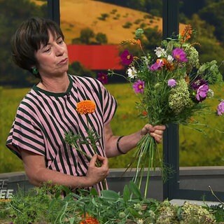 Eine Floristin bindet einen Blumenstrauß im Studio