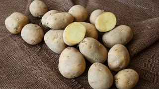 Kartoffeln waren in der Nachkriegszeit begehrt