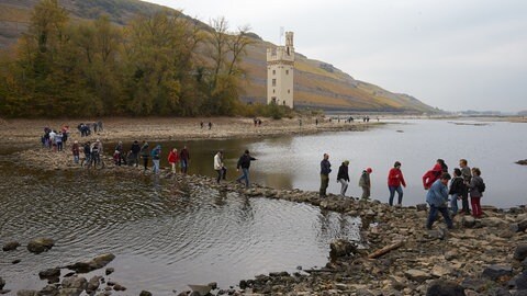 Menschen laufen bei Niedrigwasser 2018 über einen Steinwall zum Binger Mäuseturm.