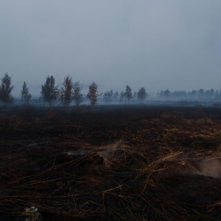Rauch steigt von verbranntem Boden auf, während seit dem 14. August ein Feuer im Naturschutzgebiet Hohes Venn wütet. Rund 3.000 Hektar sollen dabei verbrannt sein.