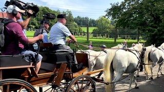 Gestüt Marbach - ein Mann lenkt eine Kutsche, links im Bild ist ein Kamerateam zu sehen.