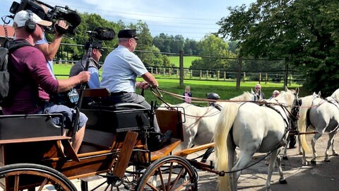 Gestüt Marbach - ein Mann lenkt eine Kutsche, links im Bild ist ein Kamerateam zu sehen.