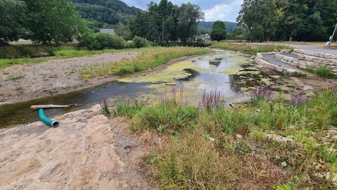 Wasser aus einem Bach abzupumpen - wie hier in der Eifel - ist illegal. Doch gerade im Sommer scheint das viele nicht zu stören. 