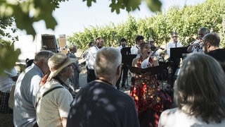 Wanderkonzert des SWR Symphonieorchesters