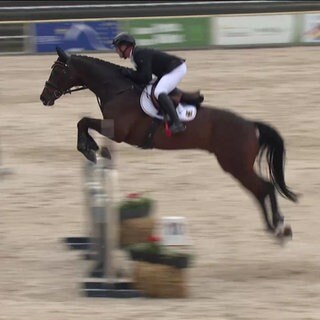 Reiter Michael Jung springt auf seinem Pferd über eine Hürde