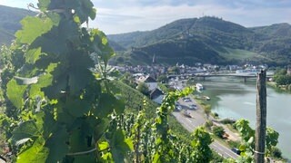 Winzer an der Mosel starten Unterschriftensammlung gegen die Änderung der Weinlage Badstube in Bernkastel-Kues