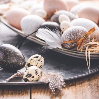 Deko-Ideen für Ostern: Ein Teller mit Ostereiern und Federn